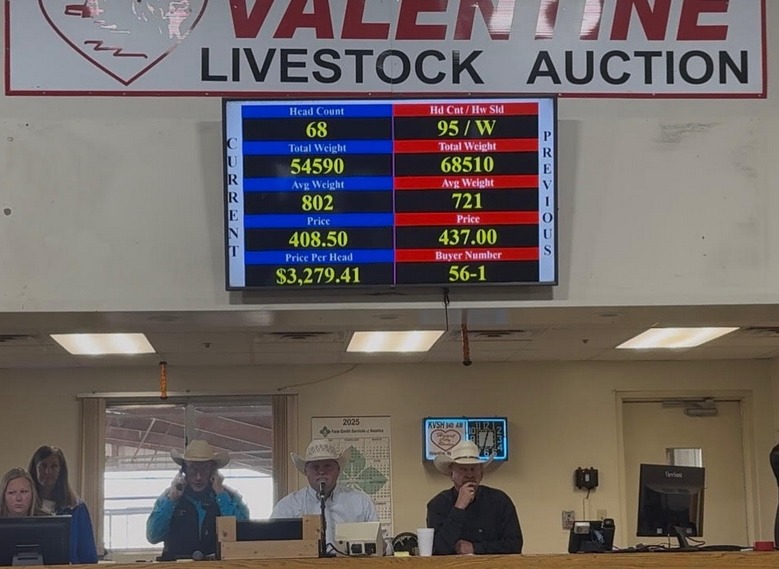 Valentine Livestock Auction posted a historical picture on their Facebook page September 4, 2025, showing not one but two records set at the auction that day.