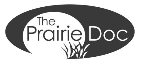 Alt Text for Image