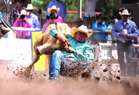 Photo by Milo Gladstein/Wyoming Tribune Eagle Denton Good from Long Valley, competes in steer wrestling during the 128th anniversary Cheyenne Frontier Days Rodeo on championship Sunday, July 28, 2024, in Frontier Park Arena.