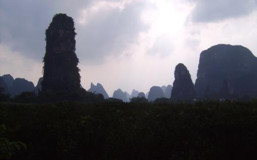 view