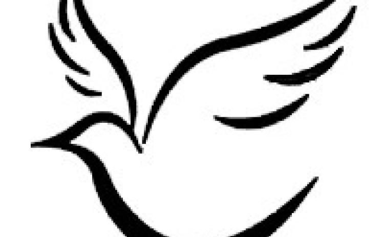 Alt Text for Image