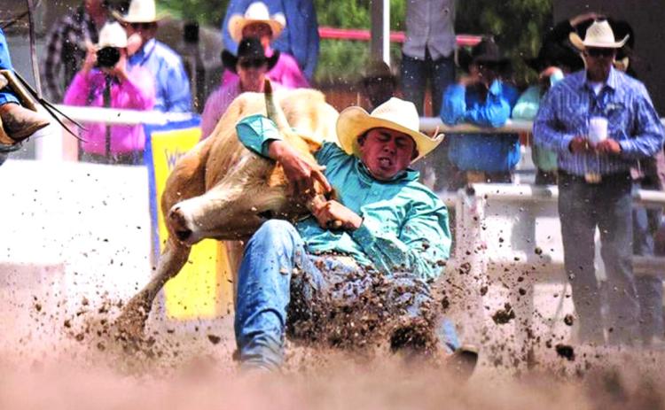 Photo by Milo Gladstein/Wyoming Tribune Eagle Denton Good from Long Valley, competes in steer wrestling during the 128th anniversary Cheyenne Frontier Days Rodeo on championship Sunday, July 28, 2024, in Frontier Park Arena.